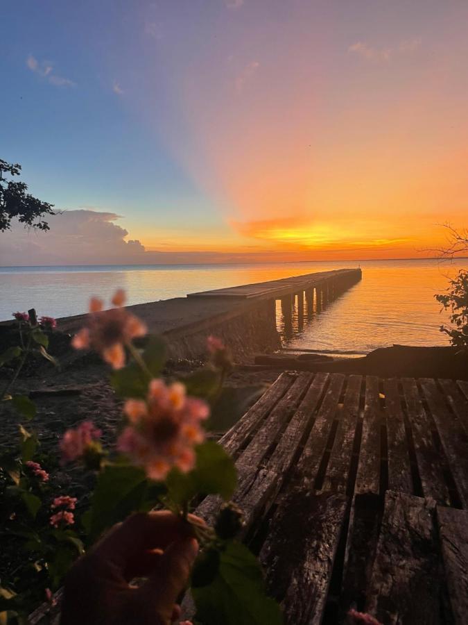 Blue Emocean Dive Resort Moyo Island Exteriör bild