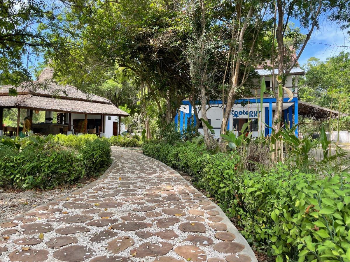 Blue Emocean Dive Resort Moyo Island Exteriör bild